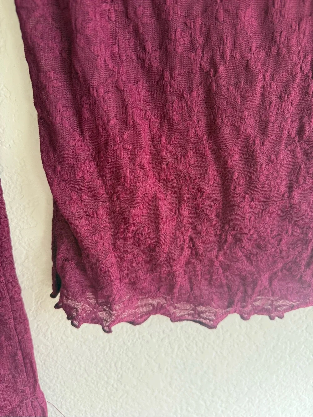 Free People Burgundy Sheer Lace Long Sleeve Top NEW